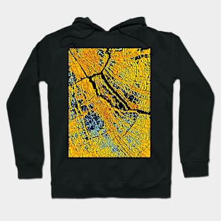 Golden Energetic Grid Hoodie